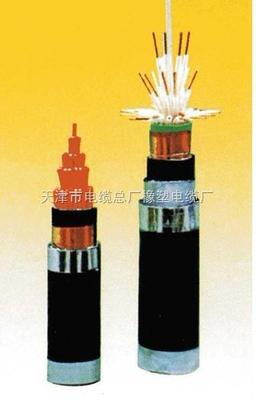 KVV、KVV22、KVV32控制電纜規格型號詳解與國家標準的遵循——以天津市電纜總廠橡塑電纜廠為例